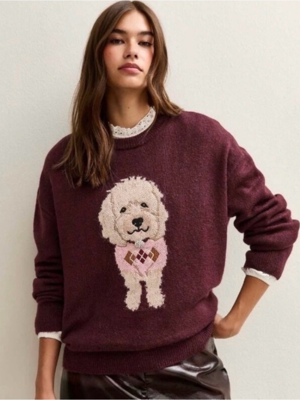 Maroon Maeve by Anthropologie sweater with dog graphic